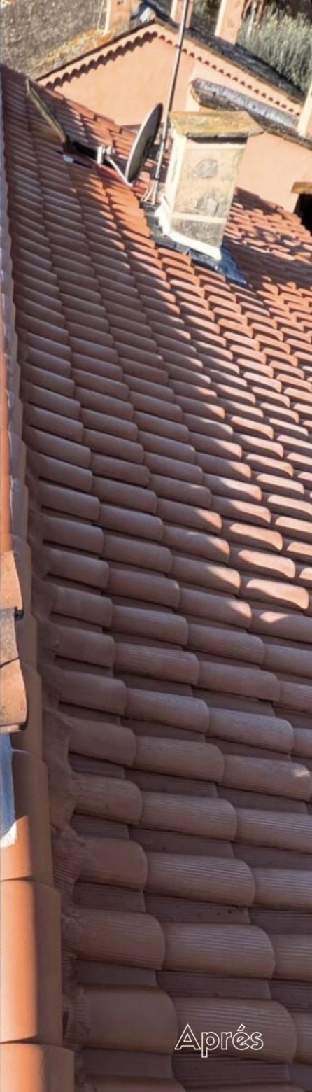 Toiture apres nettoyage