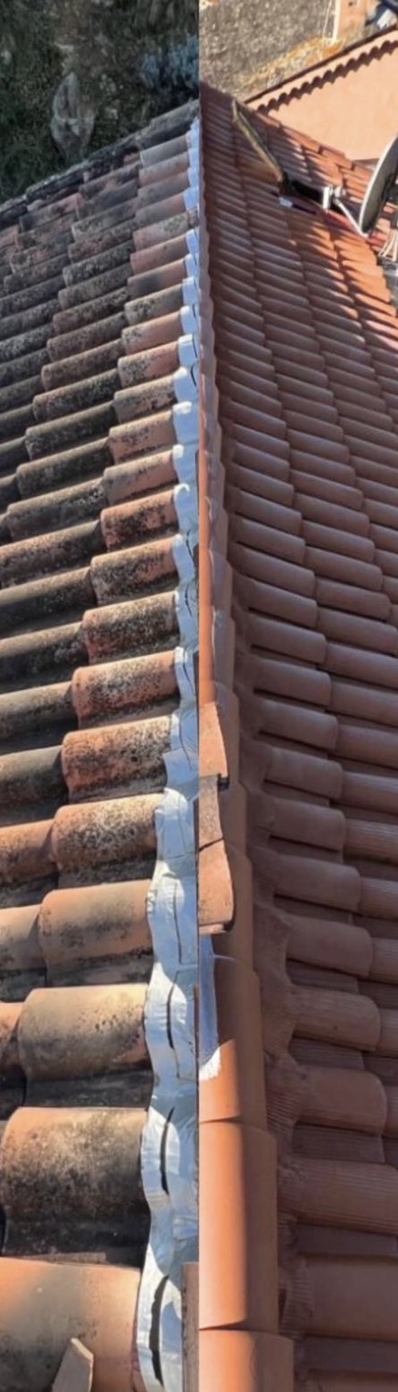 Toiture avant nettoyage